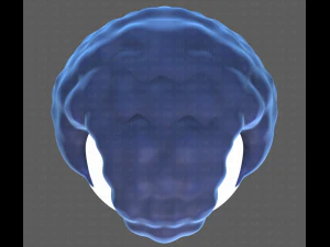 Base Hair for Boy V43 3D Model