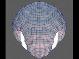 Base Hair for Boy V43 3D Model