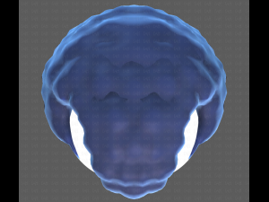 Base Hair for Boy V43 Model 3D