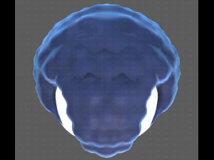 Base Hair for Boy V43 3D Model