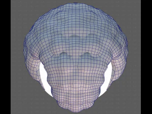 Base Hair for Boy V43 3D Model