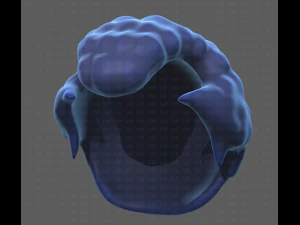 Base Hair for Boy V43 3D Model