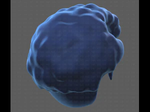 Base Hair for Boy V43 3D Model