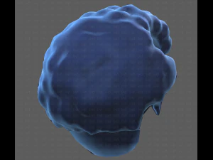 Base Hair for Boy V43 3D Model