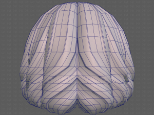 Base Hair for girl V44 3D Модель