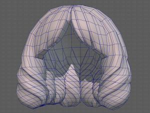 Base Hair for girl V44 3D Модель