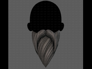 Beard V35 3Dモデル