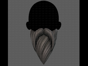 Beard V35 3Dモデル