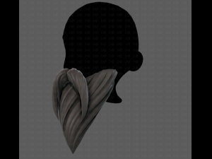 Beard V35 3Dモデル