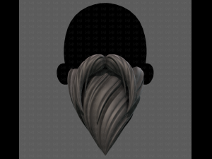 Beard V35 3Dモデル