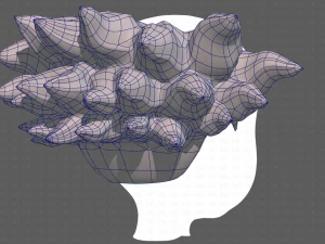 Base Hair for Boy V44 3D Model
