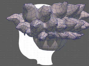Base Hair for Boy V44 3D Model