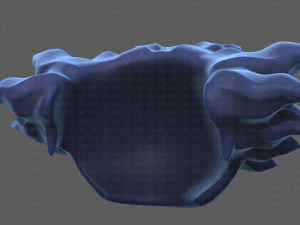 Base Hair for Boy V44 3D Model