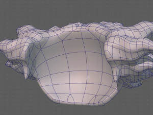 Base Hair for Boy V44 3D Model