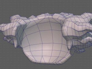 Base Hair for Boy V44 3D Model