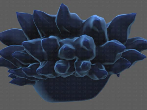 Base Hair for Boy V44 3D Model