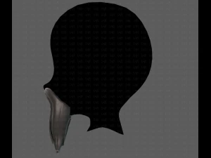 Beard V36 3D Model