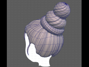 Base Hair for girl V45 Model 3D