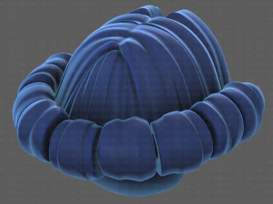 Base Hair for Boy V45 3D Model