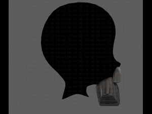 Beard V37 3D Model