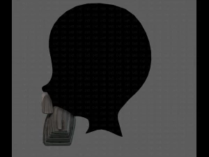 Beard V37 3D Model