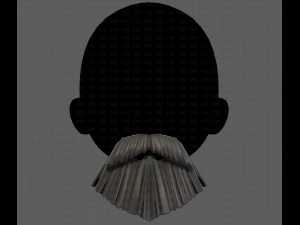 Beard V37 3D Model