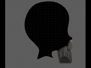 Beard V37 3D Model