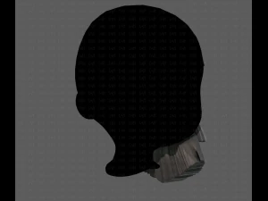 Beard V37 3D Model