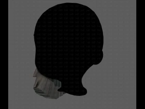 Beard V37 3D Model