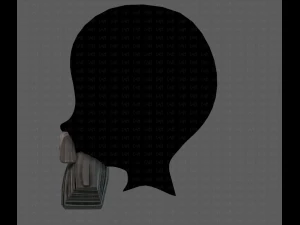 Beard V37 3D Model