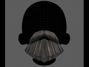 Beard V37 3D Model