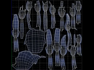 Base Hair for Boy V46 3D Model