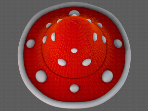 Cap V44 3D मॉडल