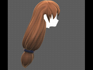 Base Hair for girl V48 3D Model