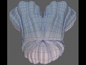 Base Hair for girl V48 3D Model