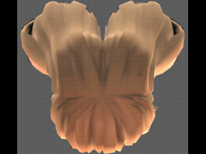 Base Hair for girl V48 3D Model