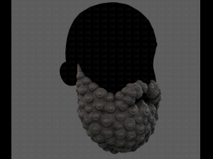 Beard V41 3D Model