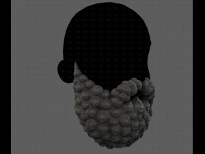 Beard V41 3D Model