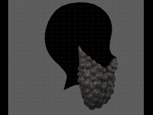 Beard V41 3D Model