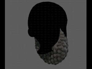 Beard V41 3D Model