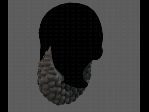 Beard V41 3D Model