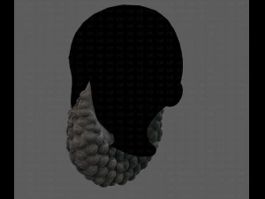 Beard V41 3D Model