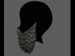 Beard V41 3D Model