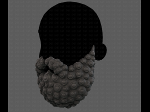 Beard V41 3D Model