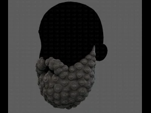 Beard V41 3D Model