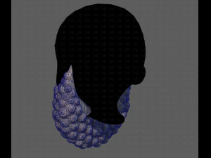Beard V41 3D Model