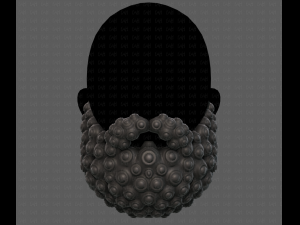 Beard V41 3D Model