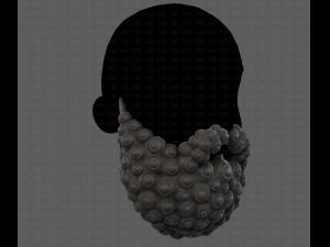 Beard V41 3D Model
