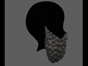 Beard V41 3D Model