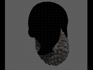 Beard V41 3D Model
